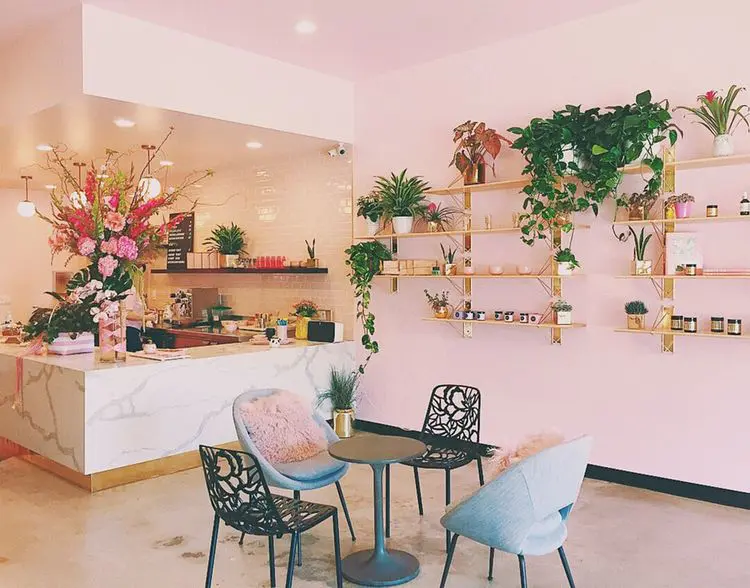 東京都 植物と花で癒される おすすめのボタニカルカフェを紹介