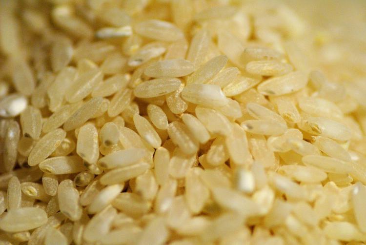 オーガニック玄米と普通の玄米の違いとは？ 選び方のポイントとおすすめ商品2選を紹介
